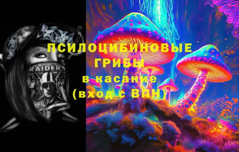 Галлюциногенные грибы Psilocybine cubensis  магазин продажи   Советск 